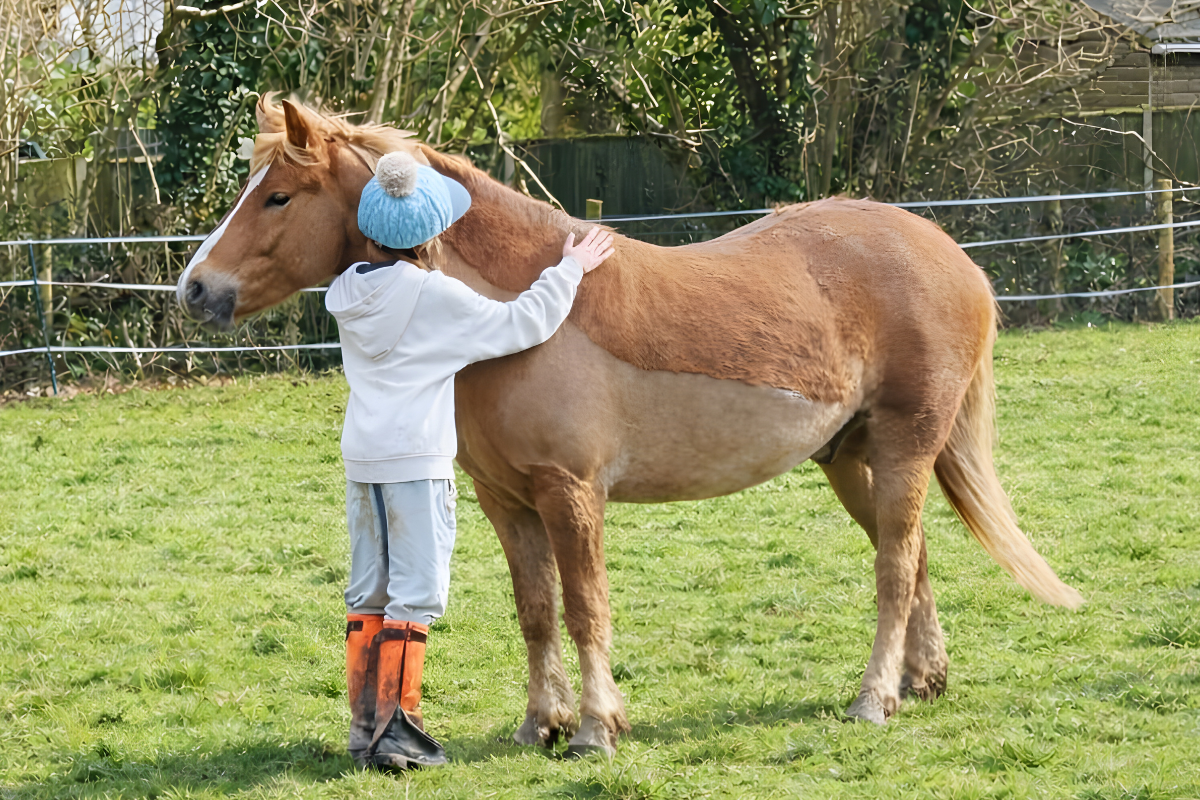 Child and horse, HD Horsemanship